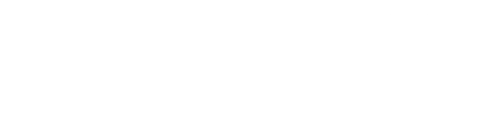 Rimgailaite Costume Logo